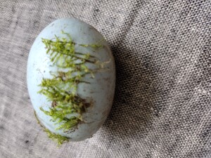 An Easter egg found months later , by my granddaugher, hidden at the base of a tree. Nature added its own fern design. 