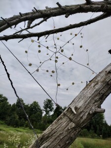 Lovely spider web created of beads and wire. 